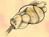 SpaceShip 01